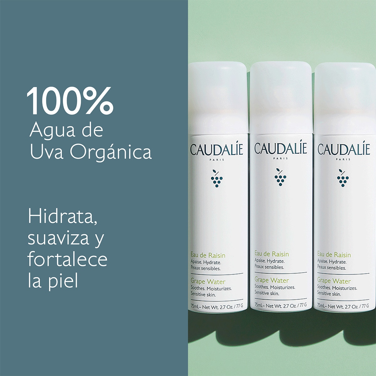BRUMA FACIAL DE UVA